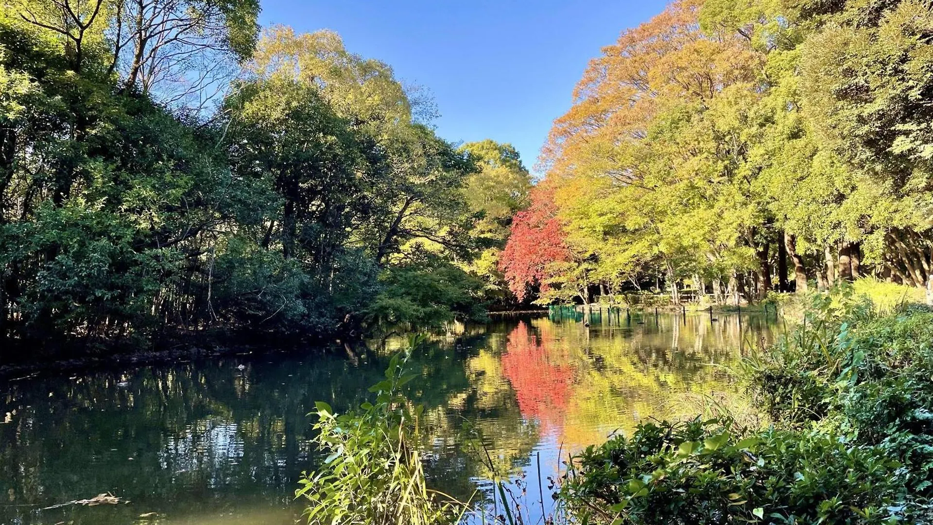 Apartment 高円寺中野villa Tokyo